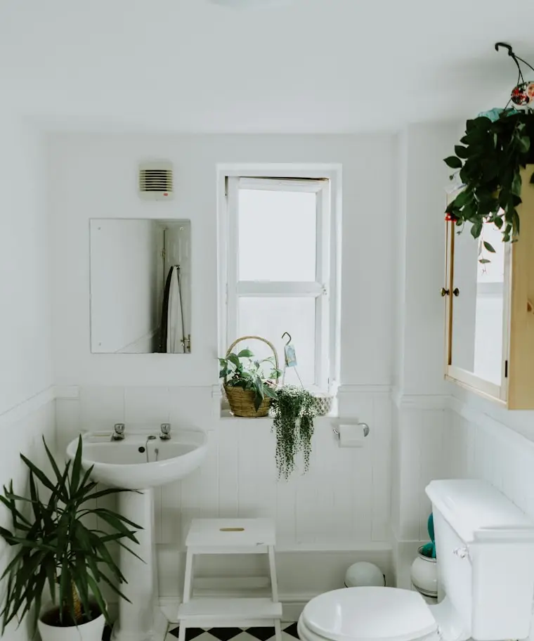 Lichte badkamer met planten bij het raam